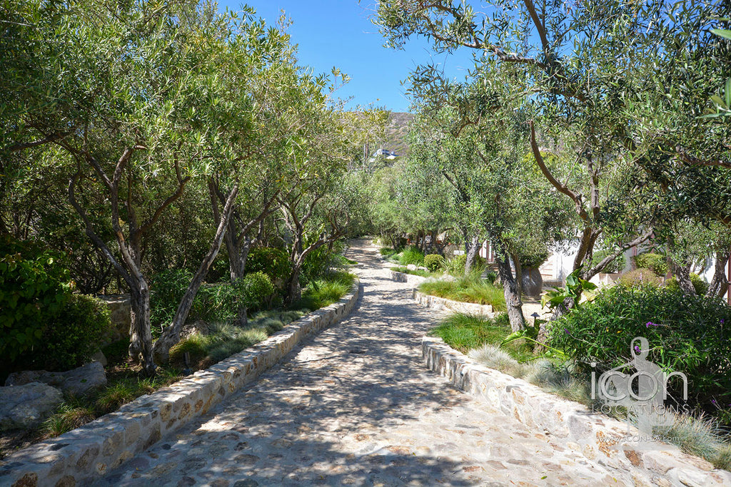 Beach House - BH3042