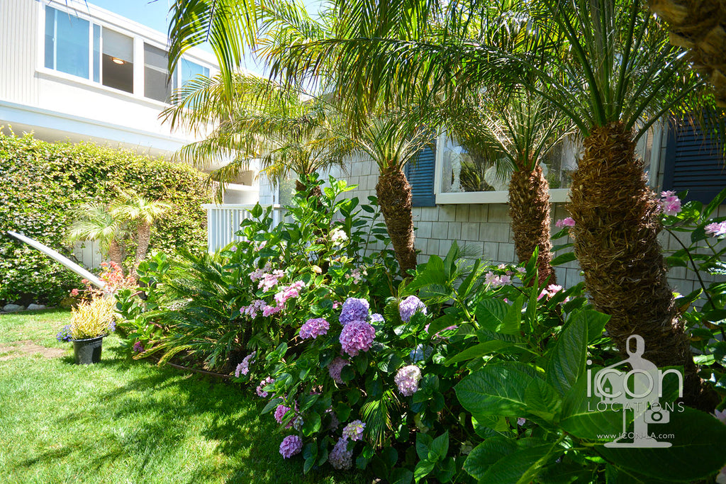 Beach House - BH3101