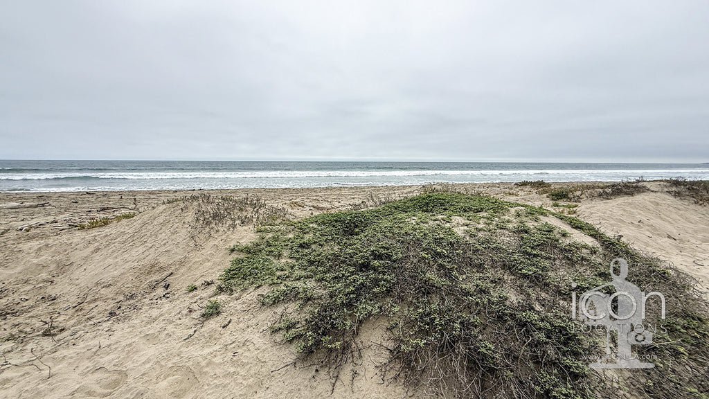 Beach House - BH3122