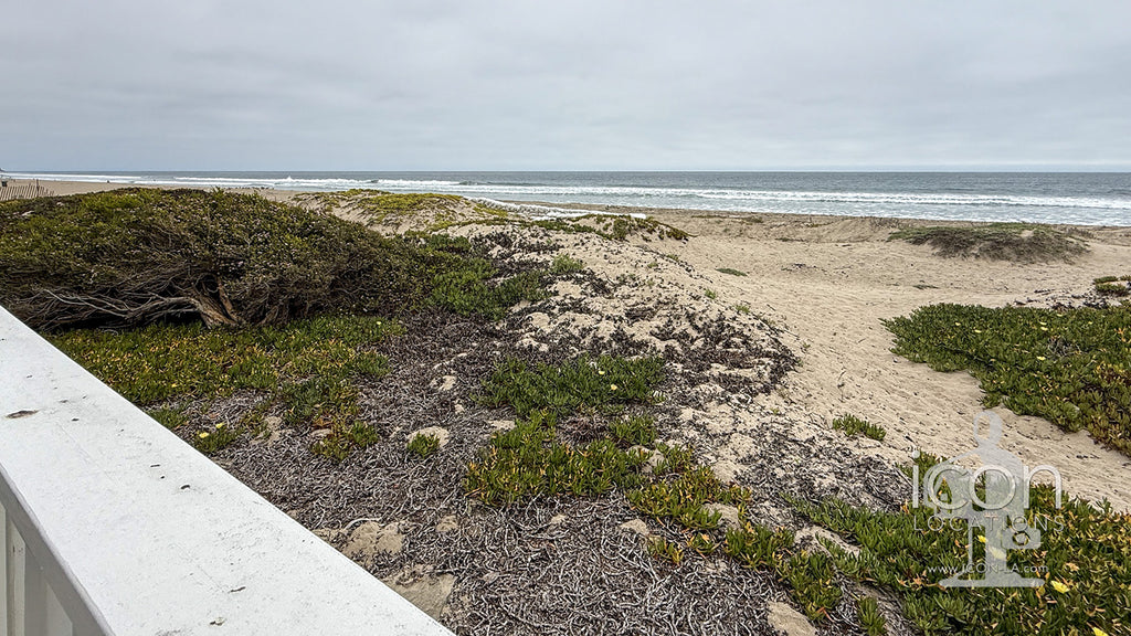 Beach House - BH3122