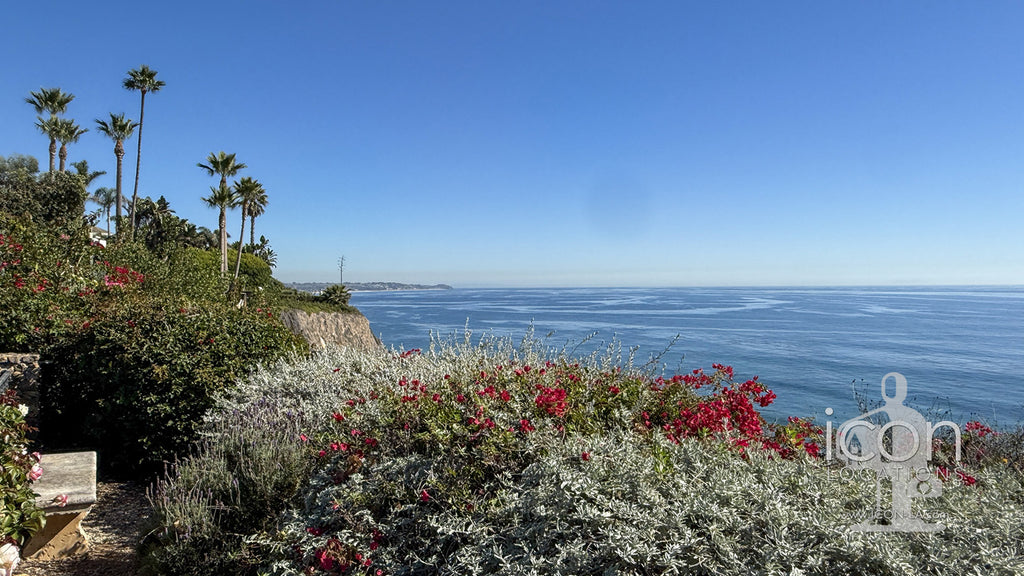 Beach House - BH3124