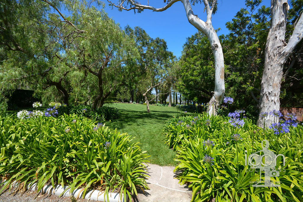 English Country - ENG2031