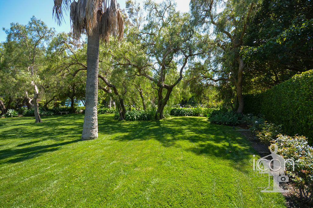 English Country - ENG2031