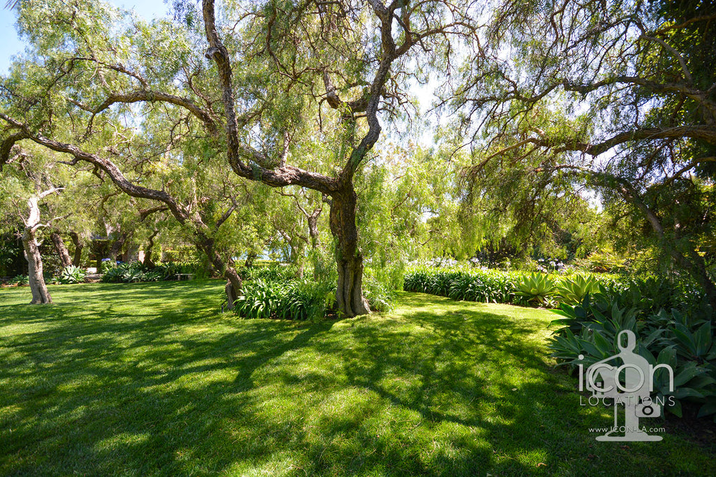 English Country - ENG2031