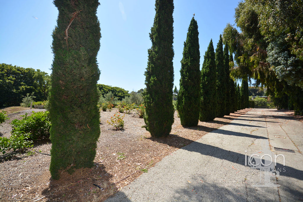 English Country - ENG2031