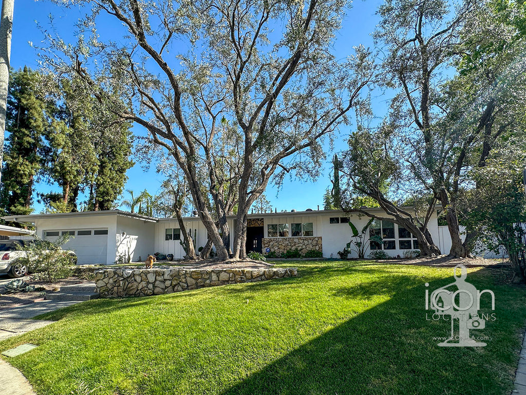 Mid Century - MID2049