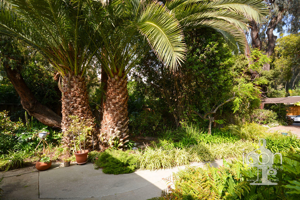 Mid Century - MID2073