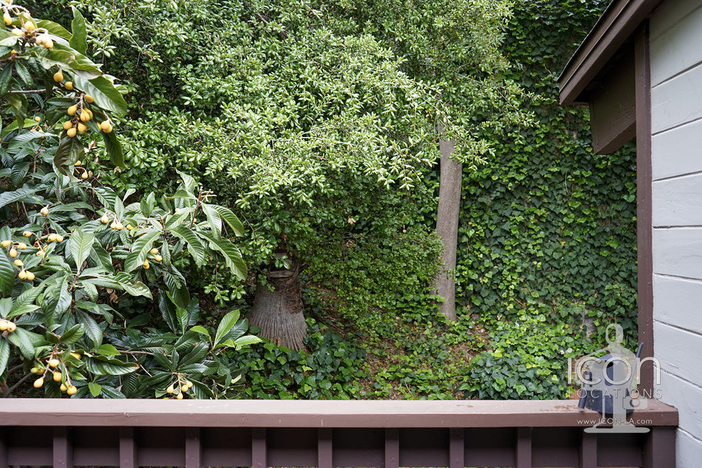 Mid Century - MID2089