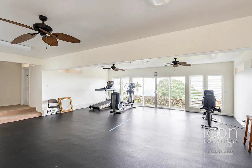 Hawaii-Mid Century - MO3087-HI