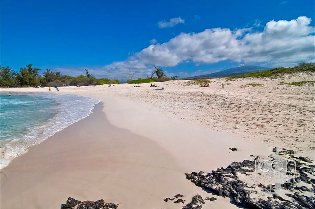 Hawaii-Mid Century - MO3087-HI