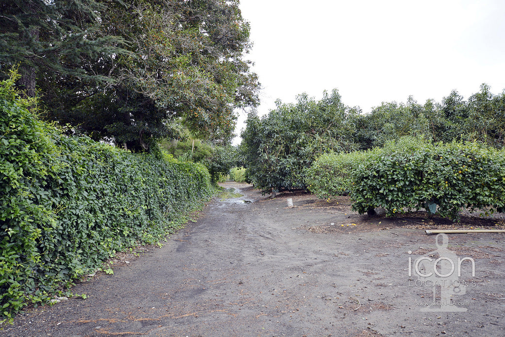 Farm - RA3117
