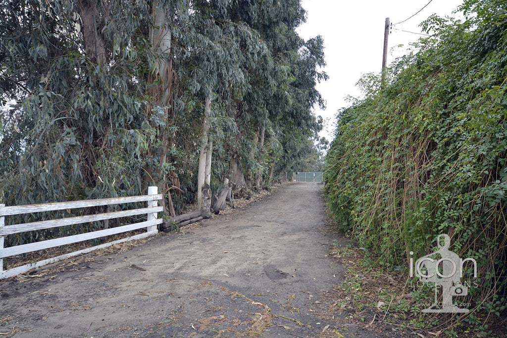 Farm - RA3117