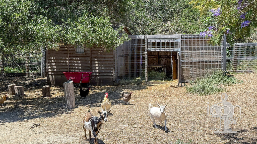 Ranch / Farm - RA3119