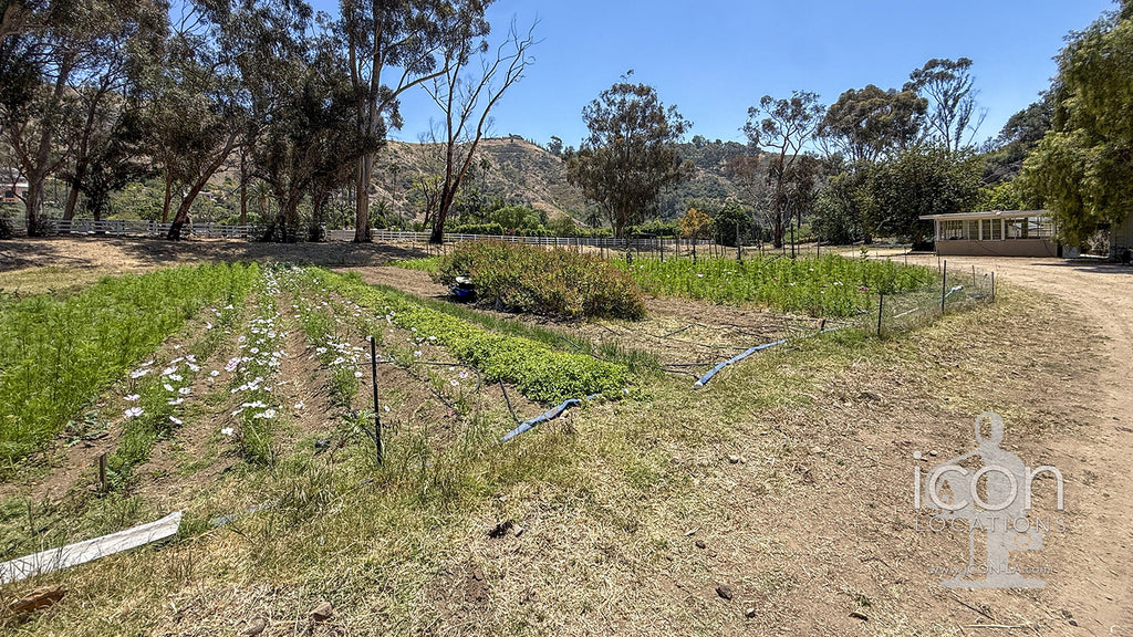 Ranch / Farm - RA3119