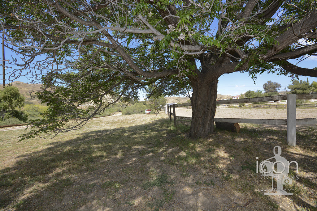 Ranch - RA3143