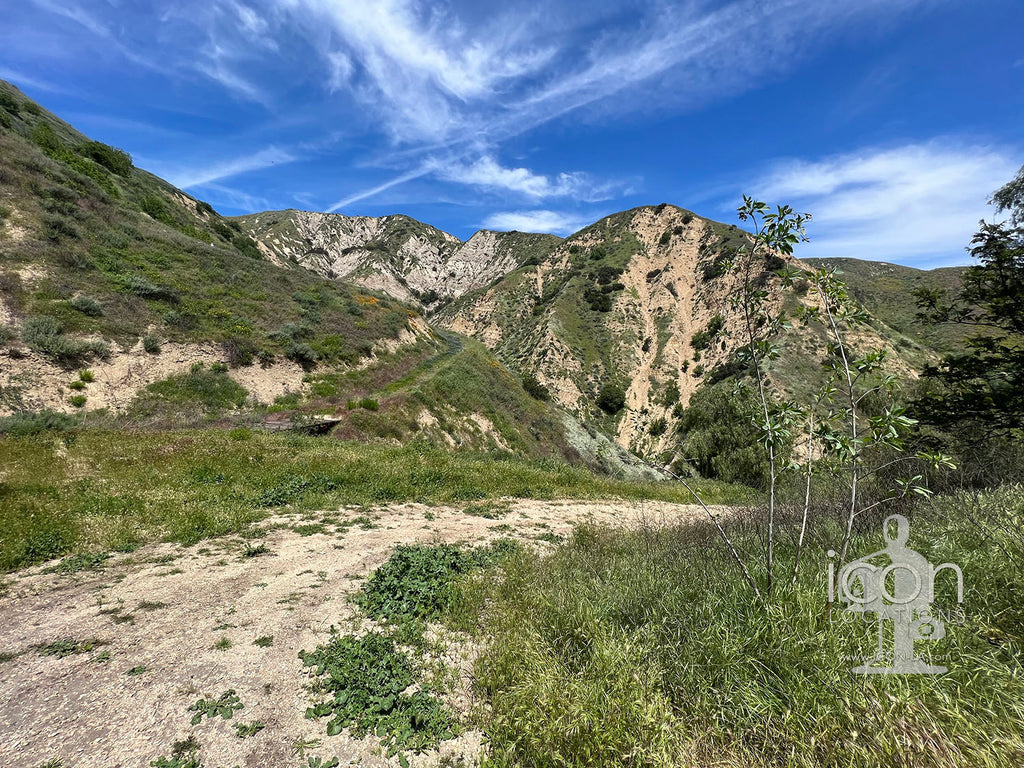 Gas Station/ Open Land -RA3164-2