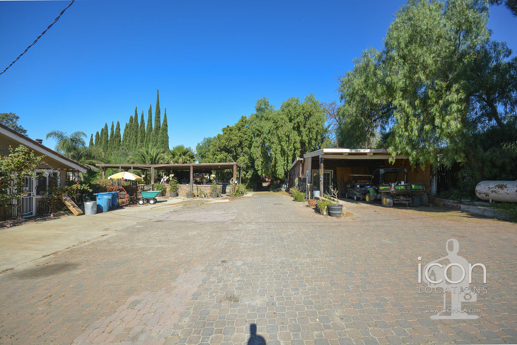 Horse Ranch - RA3167