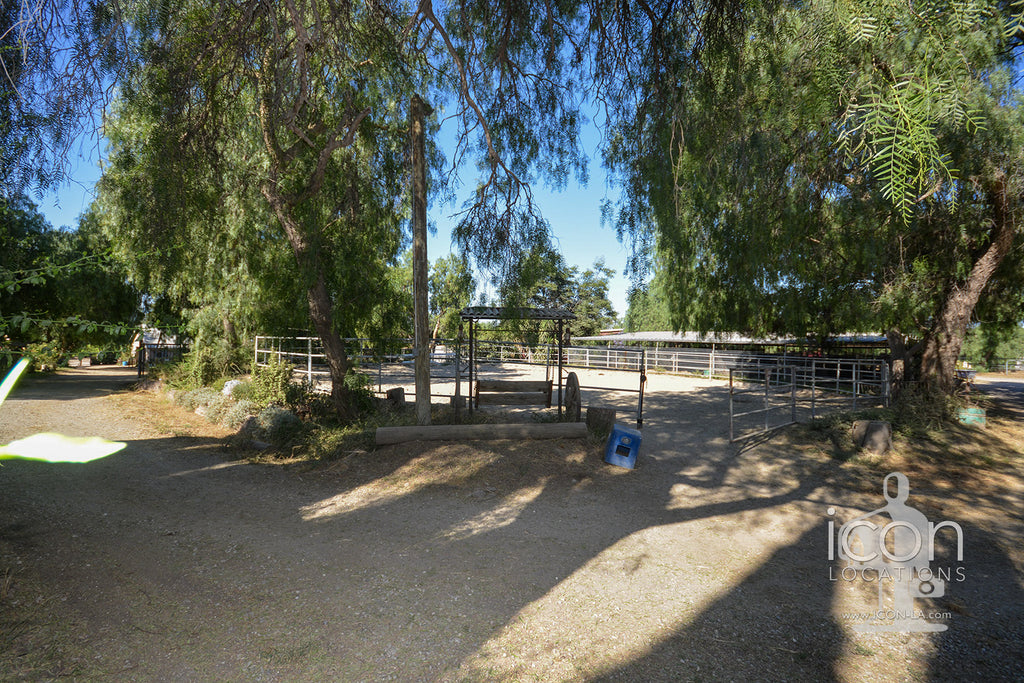 Horse Ranch - RA3167