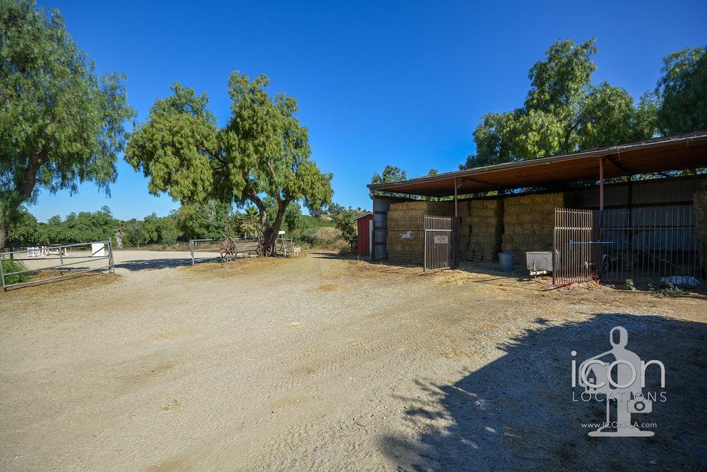 Horse Ranch - RA3167
