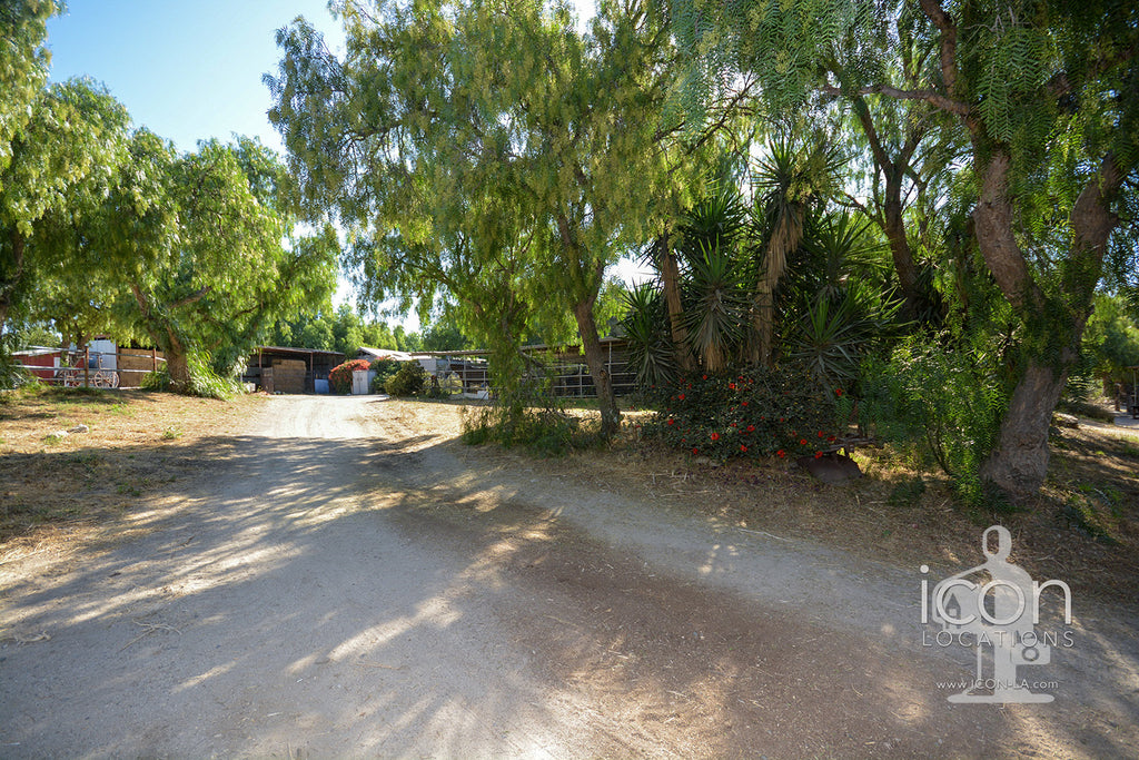 Horse Ranch - RA3167