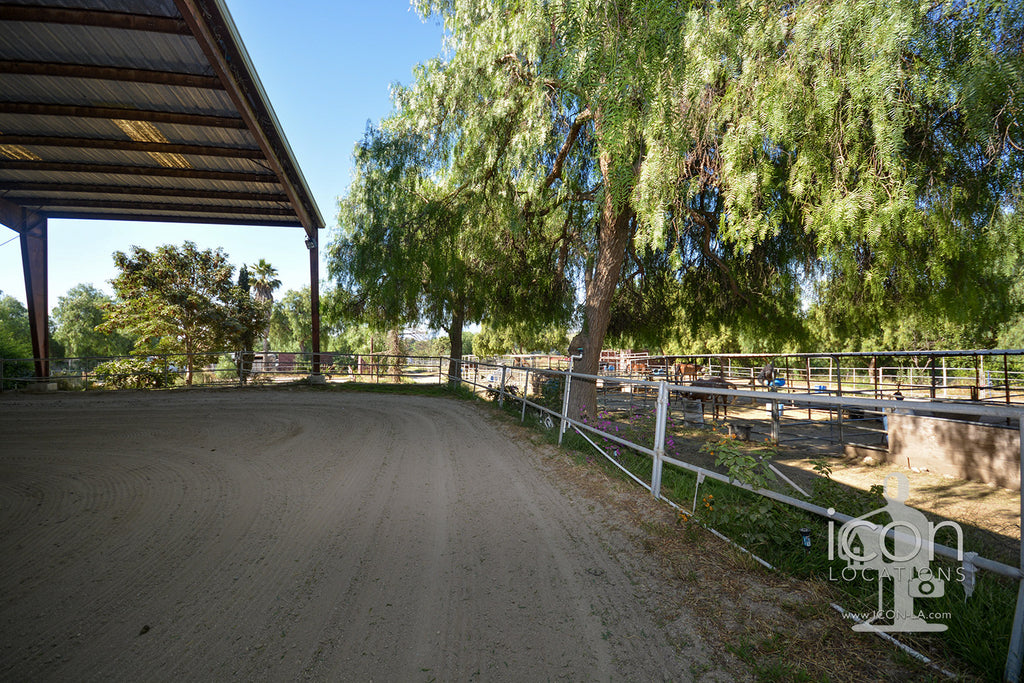 Horse Ranch - RA3167
