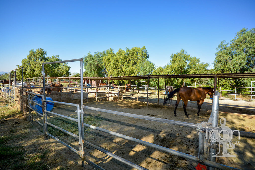 Horse Ranch - RA3167