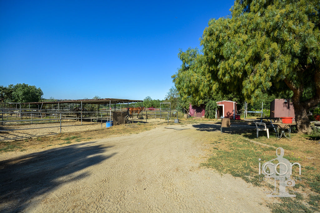 Horse Ranch - RA3167