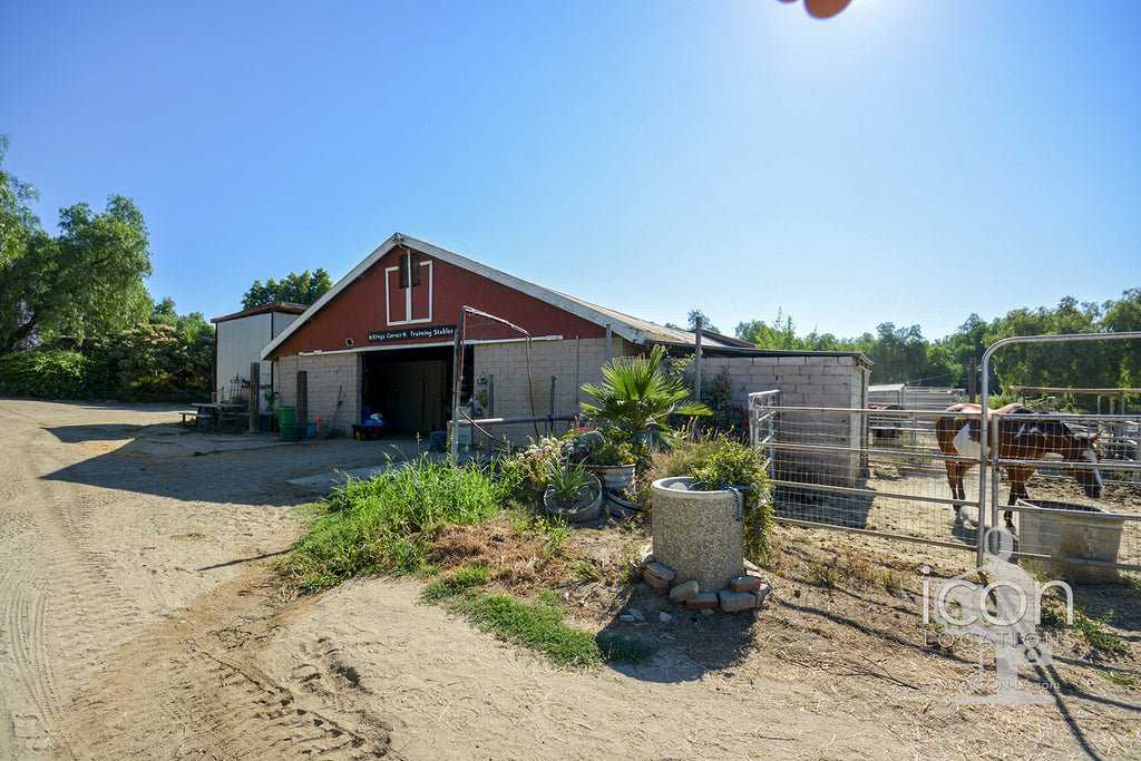 Horse Ranch - RA3167