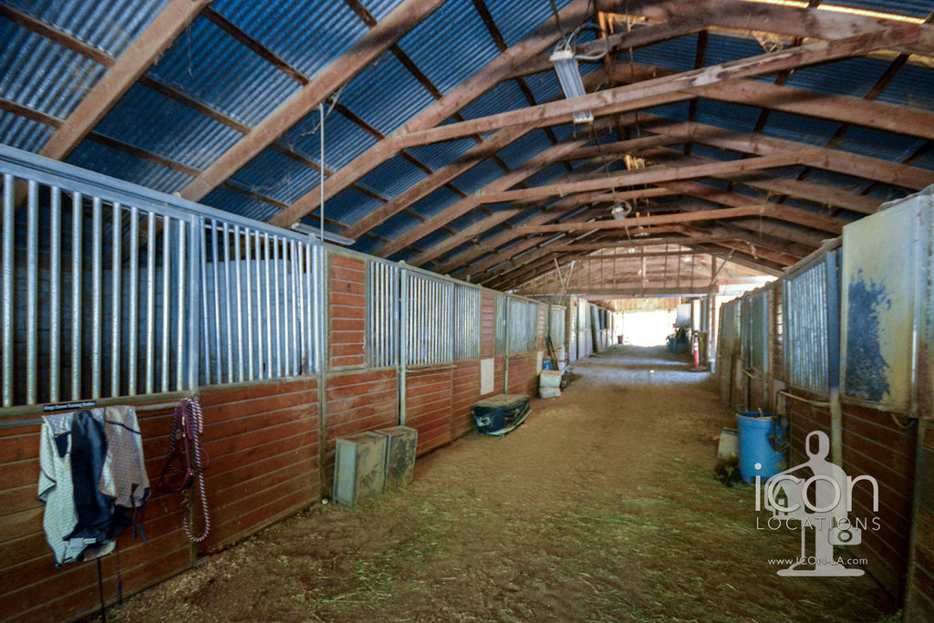 Horse Ranch - RA3167