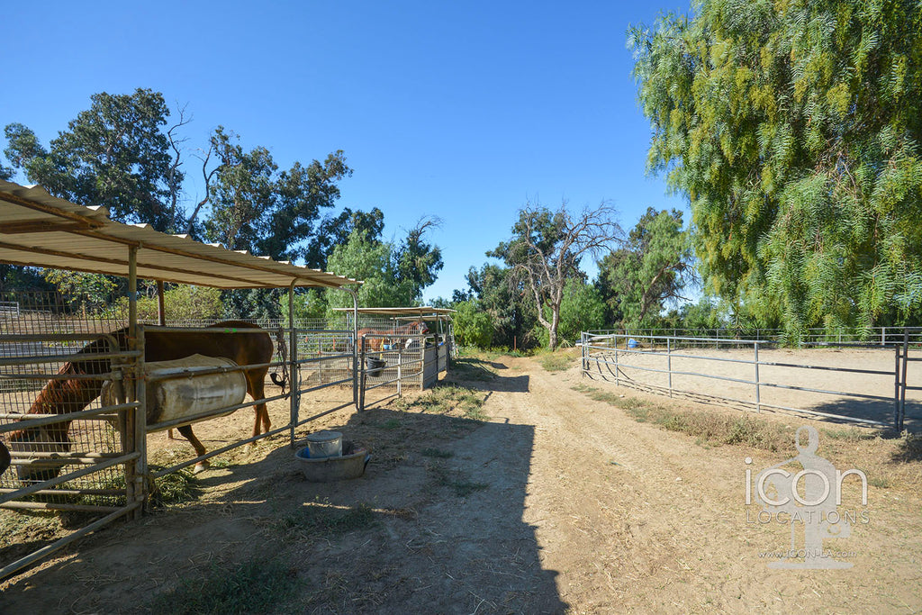 Horse Ranch - RA3167
