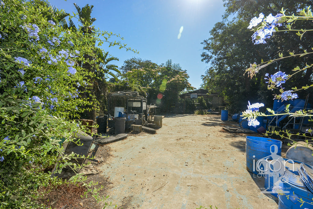 Horse Ranch - RA3167