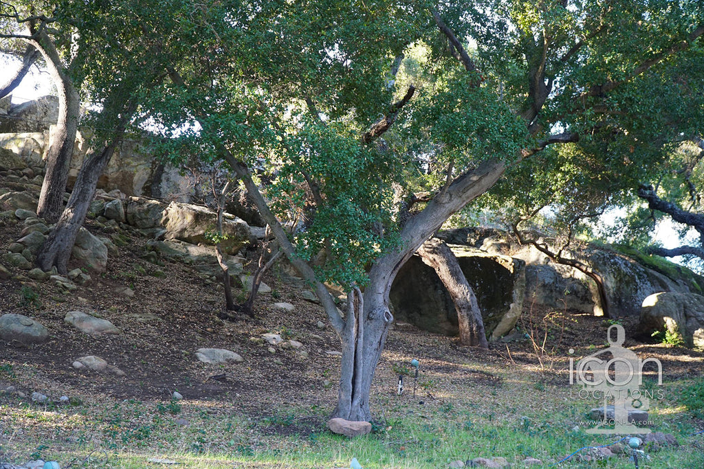 Recording Studio Ranch - RA3182