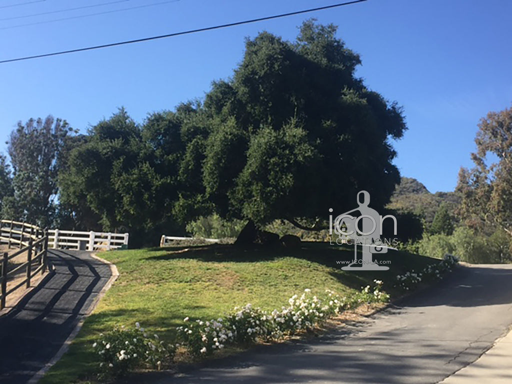 Recording Studio Ranch - RA3182