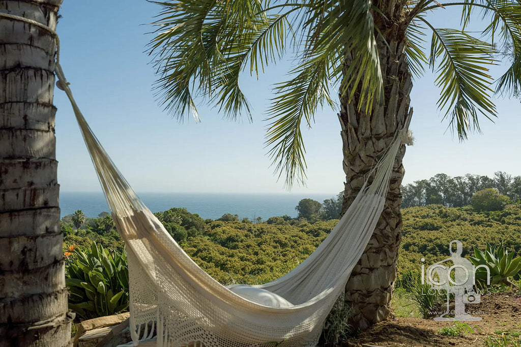 Carpinteria Modern Ranch - RA3207