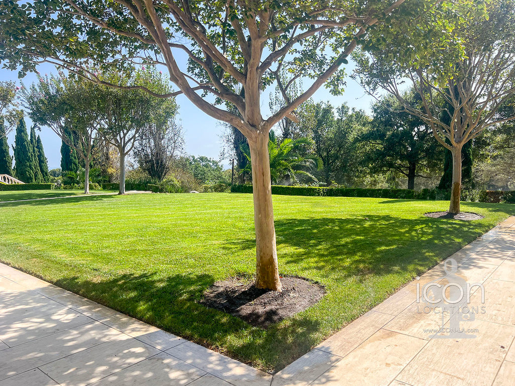 Santa Barbara - SB3002