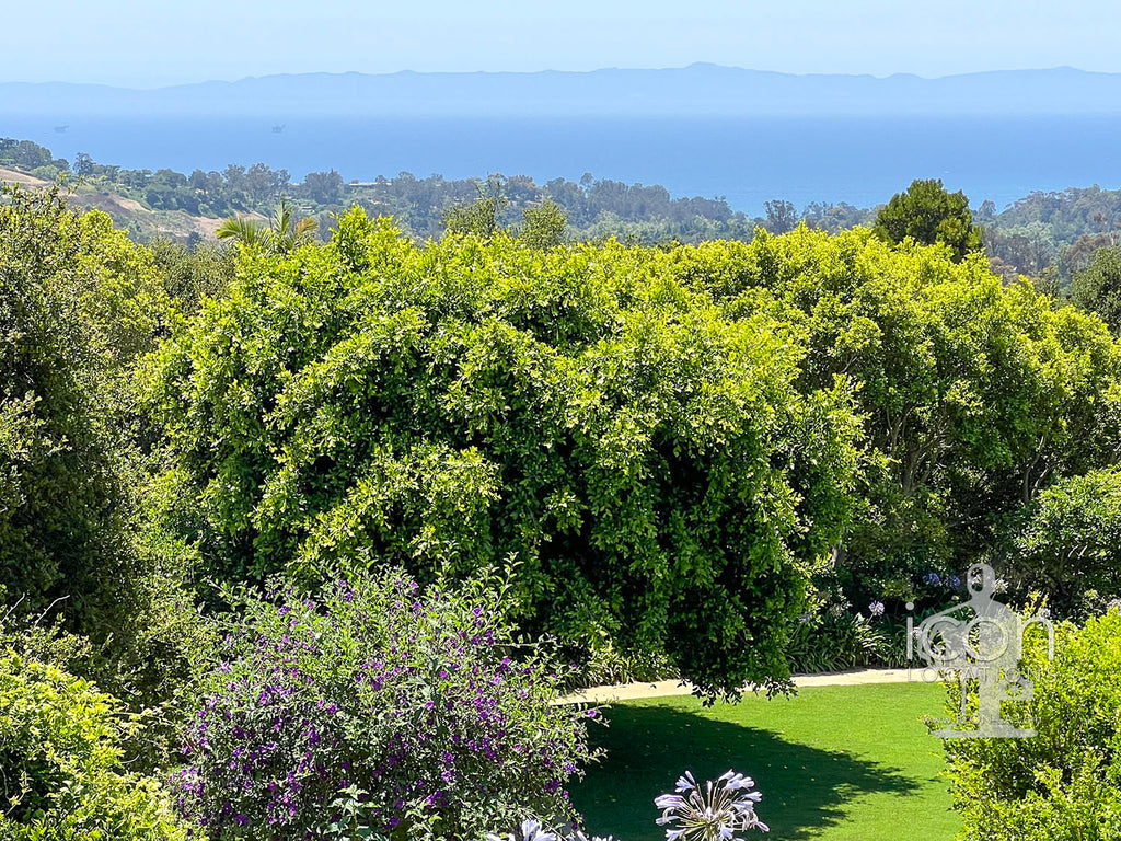 Santa Barbara - SB3003