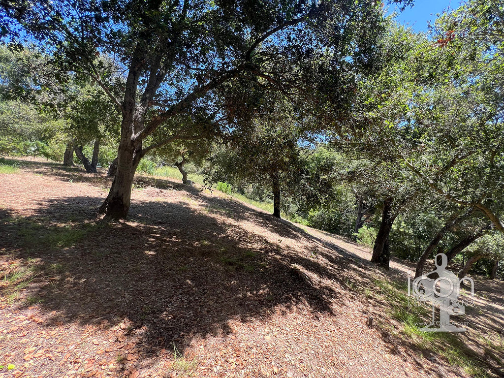 Santa Barbara - SB3003