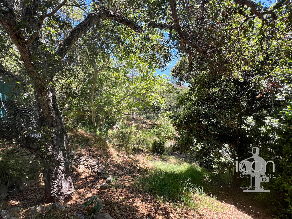 Santa Barbara - SB3003