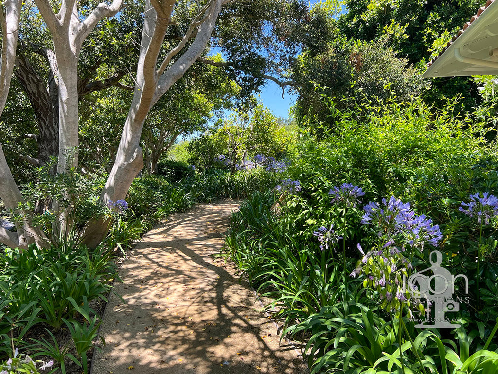 Santa Barbara - SB3003