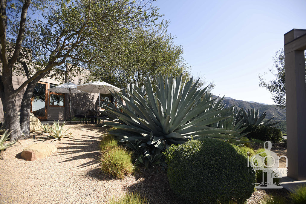 Santa Barbara Modern - SB3007