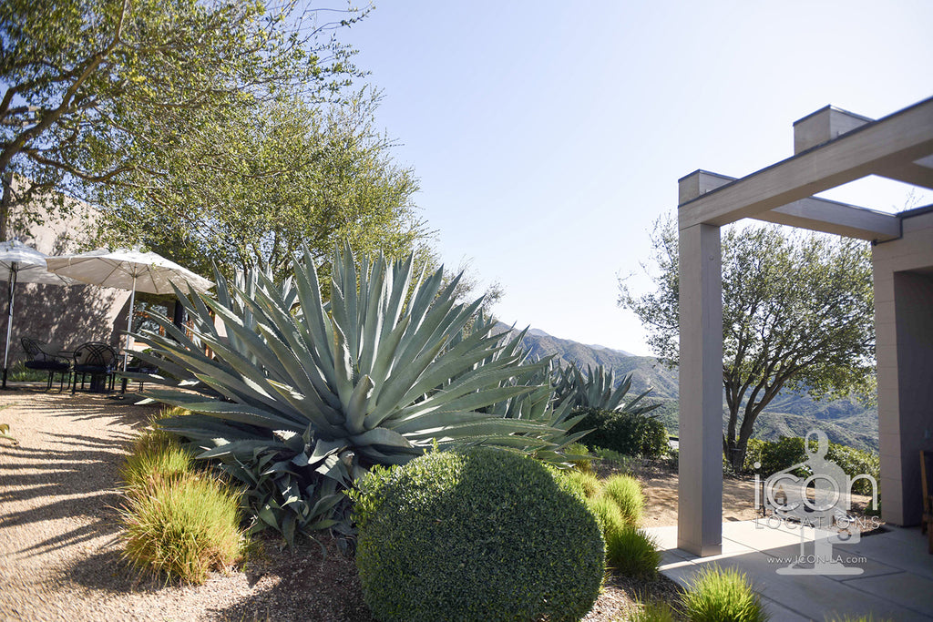 Santa Barbara Modern - SB3007