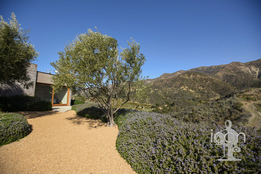 Santa Barbara Modern - SB3007