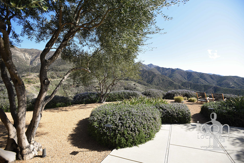 Santa Barbara Modern - SB3007