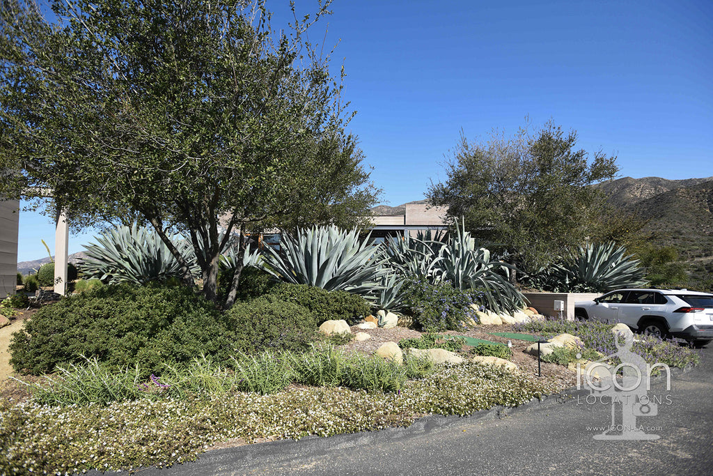 Santa Barbara Modern - SB3007