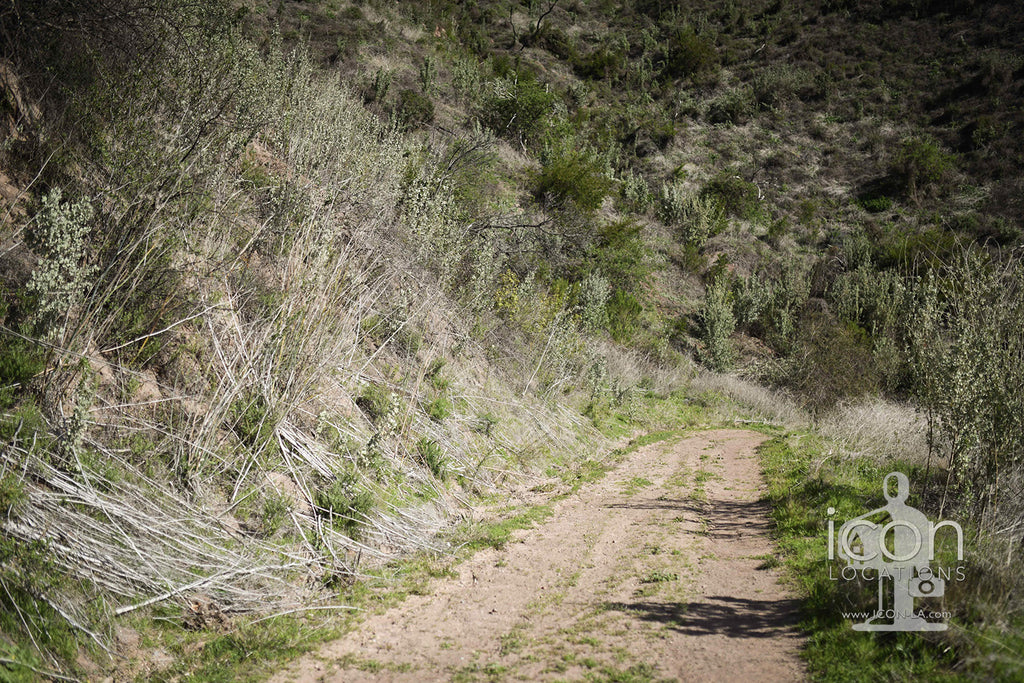 Santa Barbara Modern - SB3007