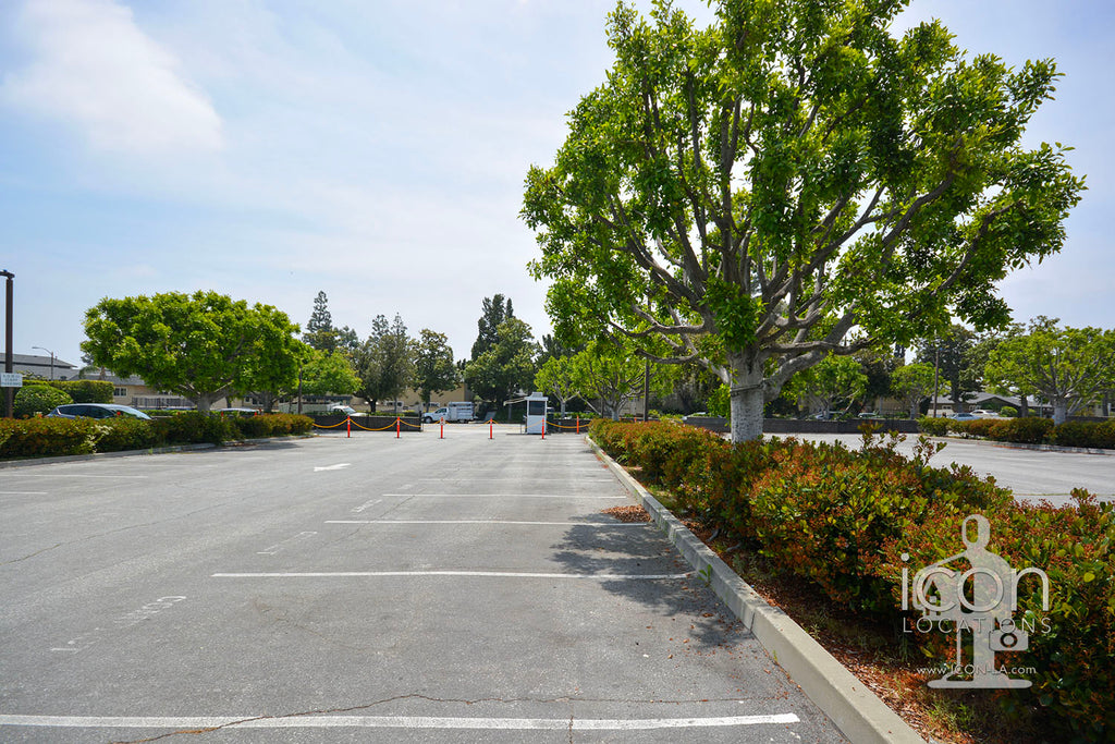 School / Arts - School2002