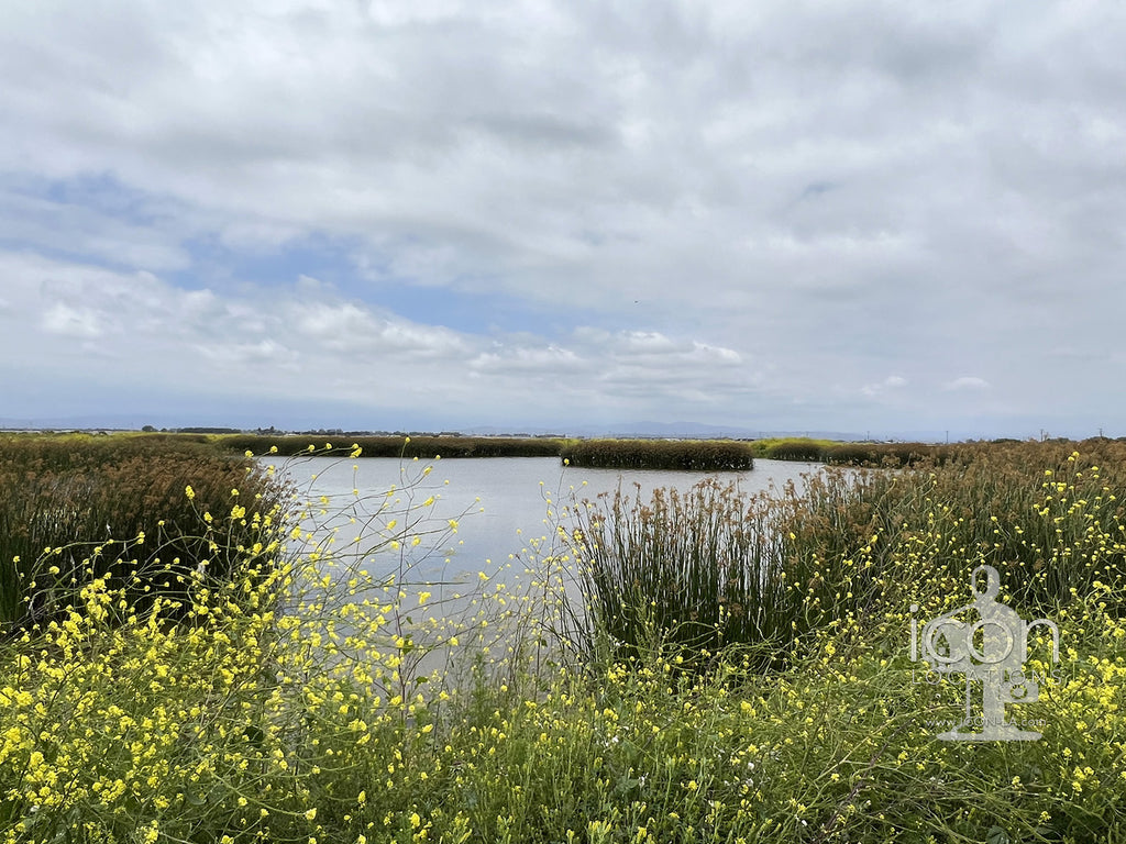 Hunting Reserve - FARM3002