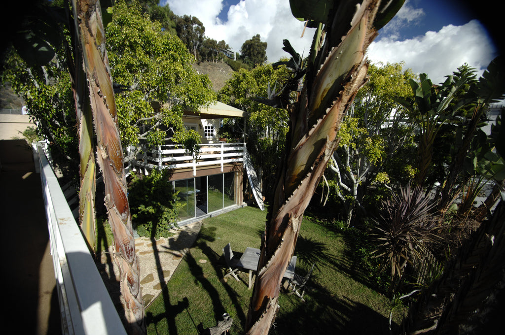 Beach House - BH23018