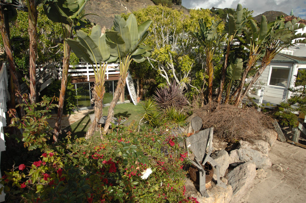 Beach House - BH23018