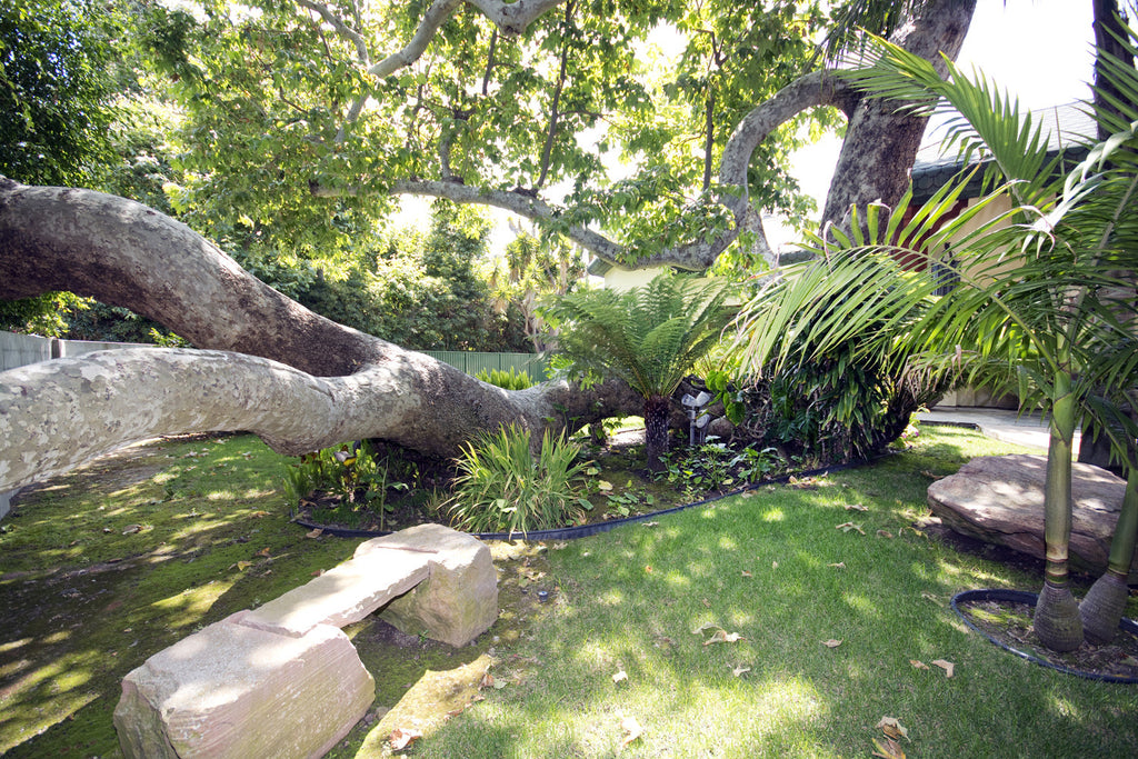 Mediterranean - ARCH6405